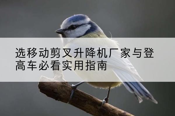 台儿庄电动升降机厂家-选移动剪叉升降机厂家与登高车必看实用指南