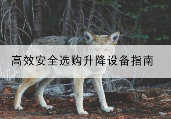 台儿庄升降货梯厂家推荐-*安全选购升降设备指南