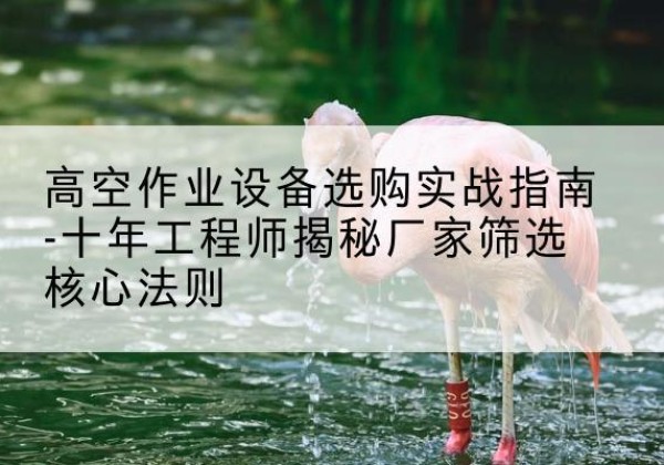 台儿庄剪叉式升降机厂家-高空作业设备选购实战指南-十年工程师揭秘厂家筛选核心法则